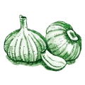 Piante liliacee