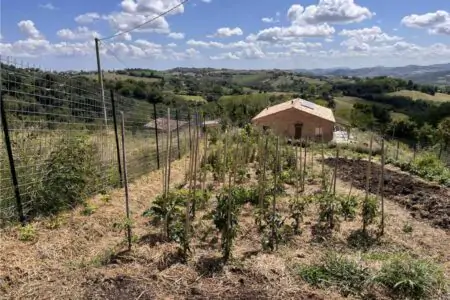 orto in pendenza