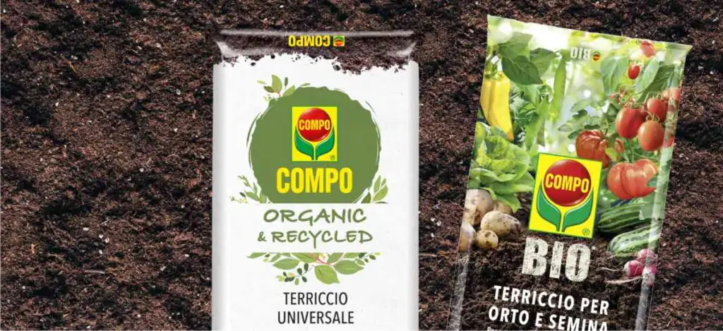 terricci compo